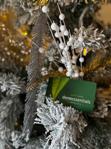 Dermessentials Medispa